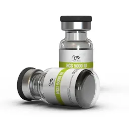 HCG 5000 IU - Human Chorionic Gonadotropin - Dragon Pharma, Europe HCG 5000 IU - Human Chorionic Gonadotropin - Dragon Pharma, Europe