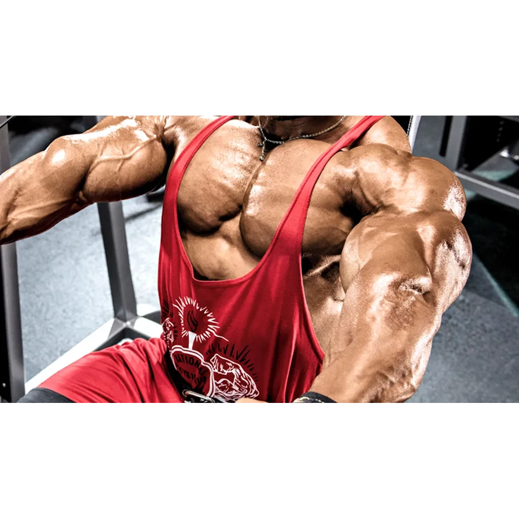 Articles Image Benefits of Anabolic Androgenic Steroids Use