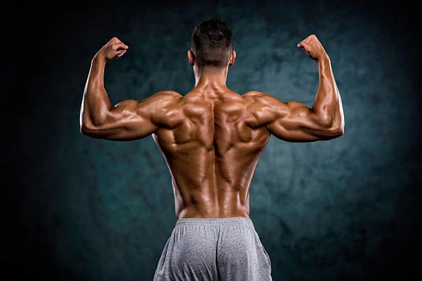 Bodybuilder flexing muscles