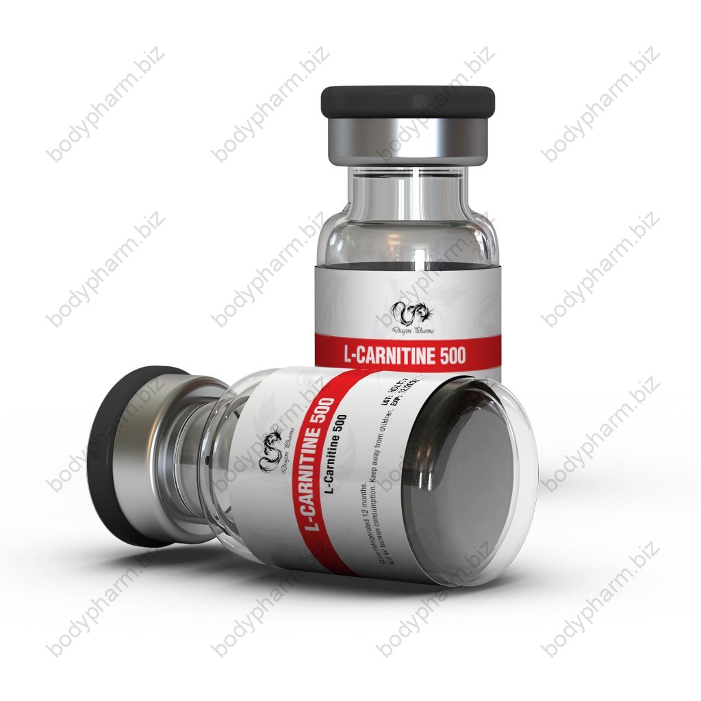L-Carnitine 500 - L-Carnitine - Dragon Pharma, Europe L-Carnitine 500 - L-Carnitine - Dragon Pharma, Europe